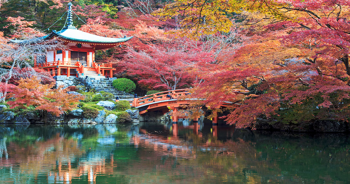 Spring Break in Kyoto, Japan by Private Jet | Clay Lacy Aviation